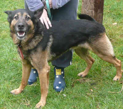 Picture of Alistair
