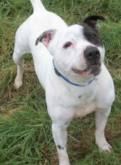 Picture of Patch