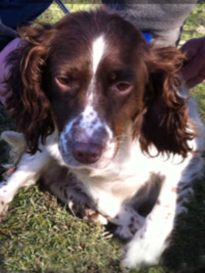 Picture of Tilly Picture of Tilly