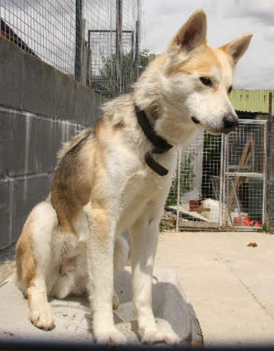 Picture of Timba